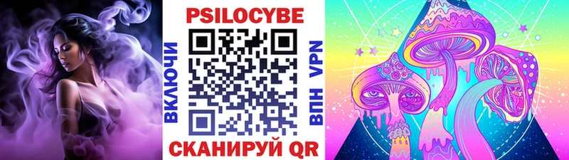 наркошоп  Гороховец  Псилоцибиновые грибы Psilocybine cubensis 